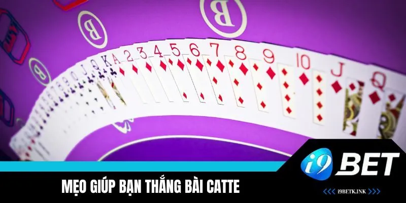 Mẹo giúp bạn thắng bài Catte